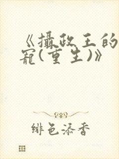 《摄政王的心头宠(重生)》