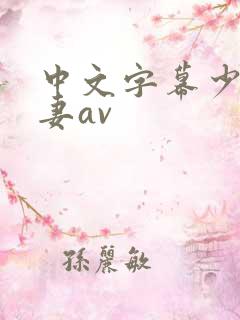 中文字幕少妇人妻av