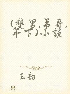 (双男,弟哥,年下)小说