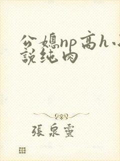 公媳np高h小说纯肉