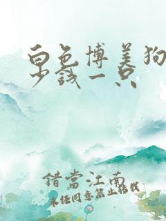 白色博美狗狗多少钱一只