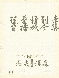 从爱情到幸福免费播放全集高清版电视剧