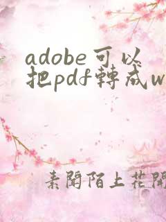 adobe可以把pdf转成word吗