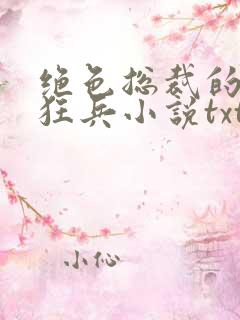 绝色总裁的极品狂兵小说txt全文下载