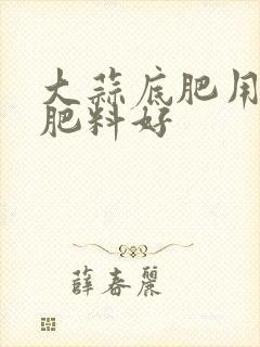 大蒜底肥用什么肥料好