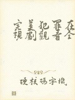 完美犯罪在线电视剧观看全集高清