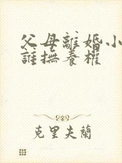 父母离婚小孩归谁抚养权
