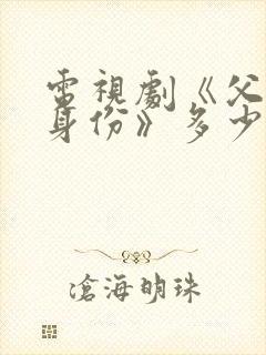 电视剧《父亲的身份》多少集?