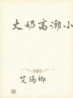 大奶高潮小说