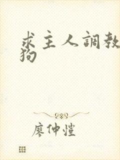 求主人调教小母狗
