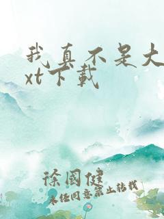 我真不是大佬txt下载