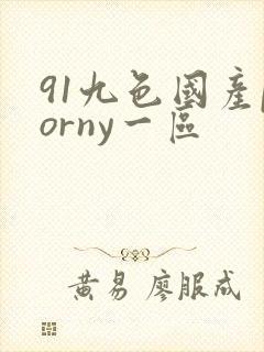 91九色国产porny一区