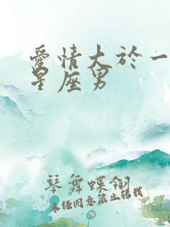 爱情大于一切的星座男