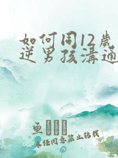 如何同12岁叛逆男孩沟通