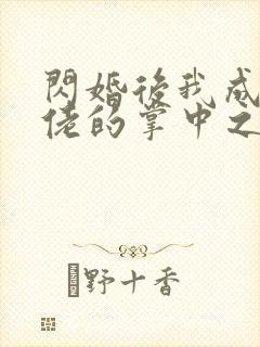 闪婚后我成了大佬的掌中之物27