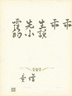 霍先生乖乖宠我的小说