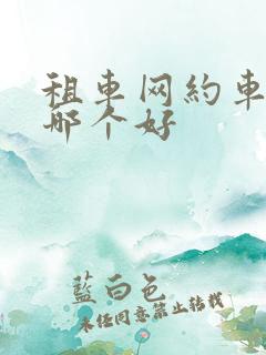 租车网约车平台哪个好