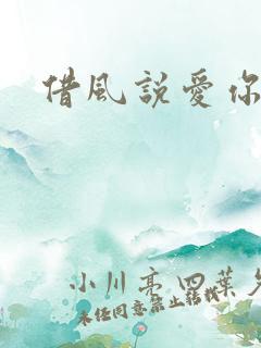 借风说爱你
