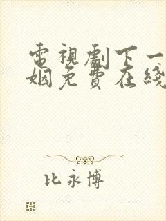 电视剧下一站婚姻免费在线观看