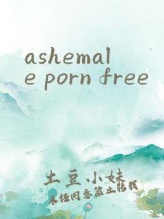 ashemale porn free
