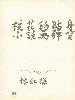 校花的贴身高手小说无弹窗无广告