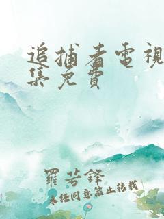追捕者电视剧全集免费