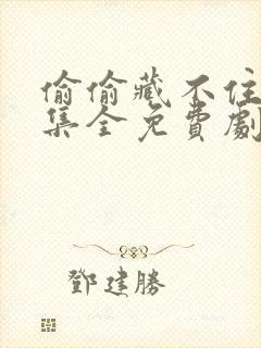 偷偷藏不住45集全免费剧情