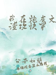 我在炮灰文里当渣攻快穿