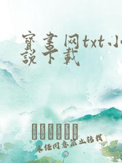 宝书网txt小说下载