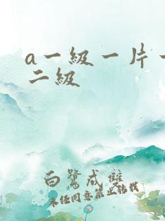 a一级一片一级二级