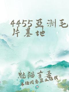 4455亚洲毛片基地