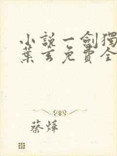 小说一剑独尊·叶玄免费全文阅读一