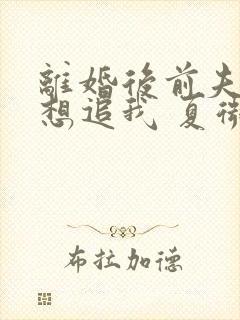 离婚后前夫总是想追我 夏微凉