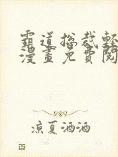 霸道总裁轻轻爱漫画免费阅读