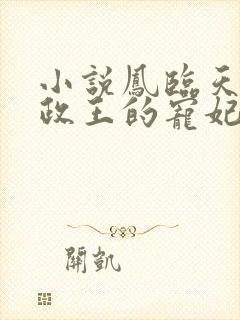 小说凤临天下摄政王的宠妃