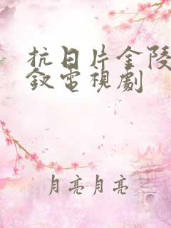 抗日片金陵十三钗电视剧