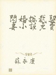 闪婚总裁契约甜妻小说免费阅读全文