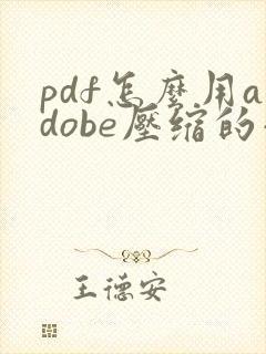 pdf怎么用adobe压缩的小一点