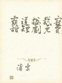 霸道总裁宠妻超甜短剧免费观看