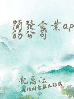 开发企业app的公司