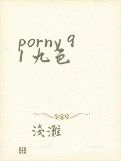 porny 91 九色
