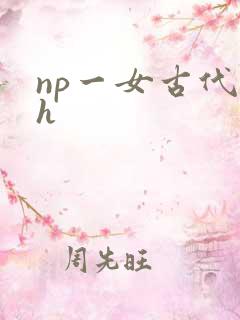 np一女古代高h