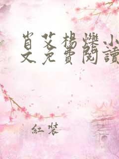 肖艾杨烁小说全文免费阅读