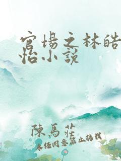 官场之林皓李静怡小说