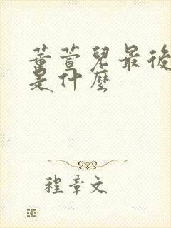 董萱儿最后结局是什么