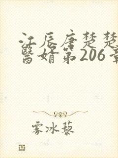 江辰唐楚楚龙王医婿第206章