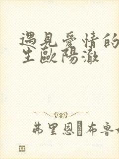 遇见爱情的利先生欧阳澈