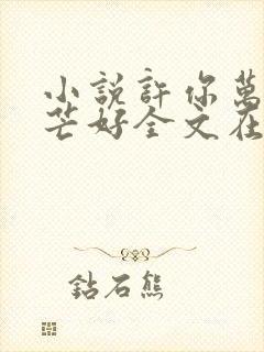 小说许你万丈光芒好全文在线阅读