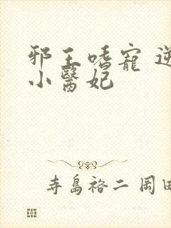 邪王嗜宠 逆天小医妃