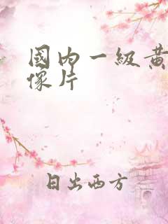 国内一级黄色录像片